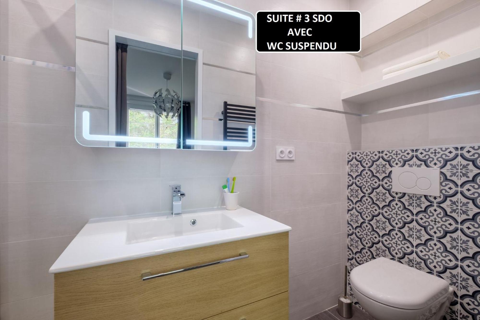 NEUF - 3 suites ZEN avec SDO&WC privatifs AU CALME à TASSIN - RARE Exterior foto